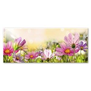 Obraz Styler Glas Flowers Astry, 50 x 125 cm