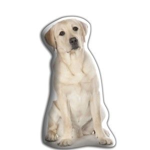 Polštářek s potiskem Zlatého labradora Adorable Cushions
