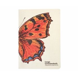 Zápisník Gift Republic Butterflies, vel. A5