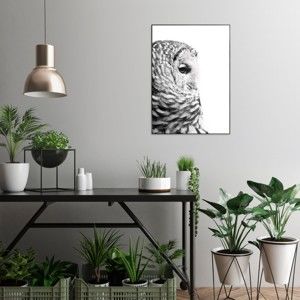 Obraz v černém rámu OrangeWallz Northern Owl, 50 x 70 cm