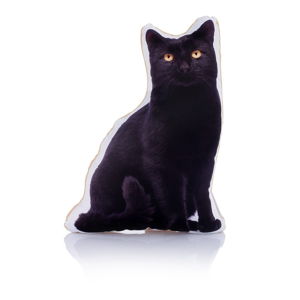 Polštářek s potiskem kočky Adorable Cushions Midi Black Cat