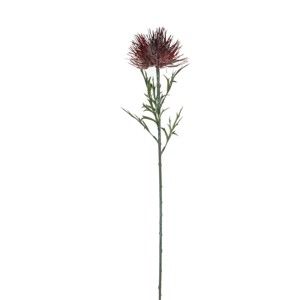 Červená umělá květina Ego Dekor Protea , výška 71 cm