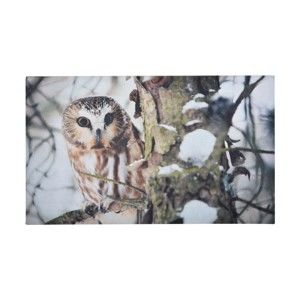 Podložka pod litinovou rohožku Esschert Design Owl