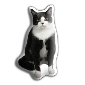 Polštářek s potiskem černobílé kočky Adorable Cushions