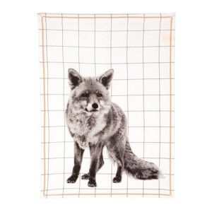 Kuchyňská utěrka Grid Fox, 50x70 cm