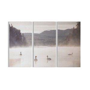 Sada 3 obrazů Graham & Brown Swan Lakeside, 30 x 60 cm