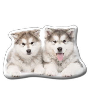 Polštářek s potiskem Malamutů Adorable Cushions
