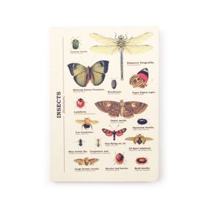 Zápisník Gift Republic Insects, vel. A5