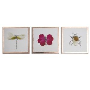 Vícedílný obraz Graham & Brown Beautiful Bugs, 30 x 30 cm