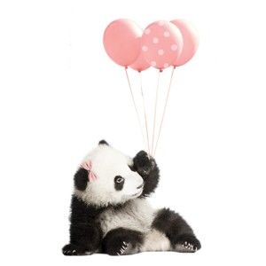 Nástěnná samolepka Dekornik Pink Panda, 70 x 115 cm