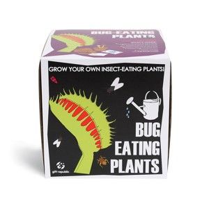 Pěstitelský set se semínky masožravé rostliny Gift Republic Bug Eating Plants