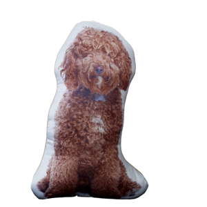 Polštářek s potiskem zrzavého Cockapoo Adorable Cushions
