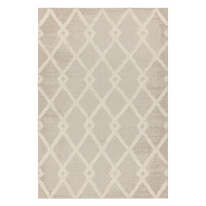 Krémový venkovní koberec 80x150 cm Monty – Asiatic Carpets