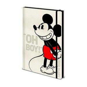 Diář na rok 2019 Pyramid International Disney: Mickey Mouse