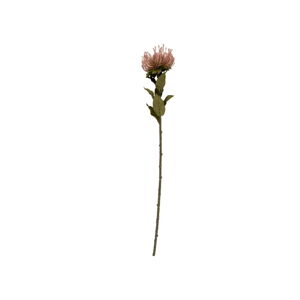 Umělá květina (výška 73 cm) Protea – PT LIVING