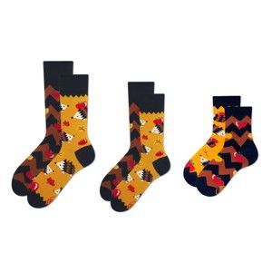Rodinná sada 3 párů ponožek v dárkovém balení Many Mornings Apple Hedgehog Grand