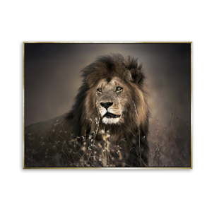 Obraz na plátně Styler Golden Lion, 115 x 87 cm