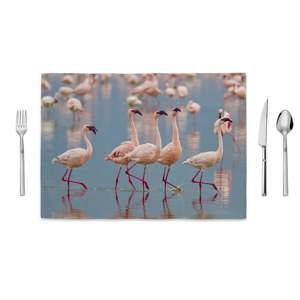 Prostírání Home de Bleu Flamingos Group, 35 x 49 cm