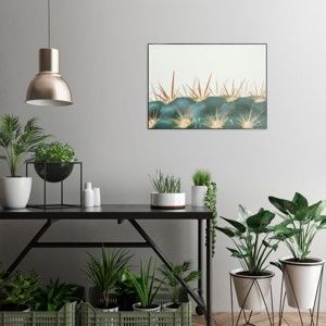 Obraz v černém rámu OrangeWallz Spiked Cactus, 50 x 70 cm