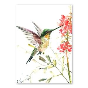 Autorský plakát Hummingbird od Surena Nersisyana, 30 x 21 cm