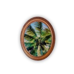 Oválný nástěnný obraz Velvet Atelier Palm Tree