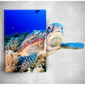 Nástěnný 3D obraz Mosticx Sea Turtle, 40 x 60 cm