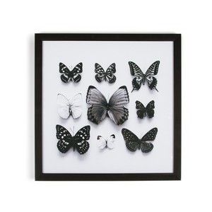 Obraz v rámu Graham & Brown Butterfly Studies, 50 x 50 cm