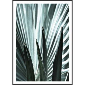 Plakát Imagioo Palm, 40 x 30 cm