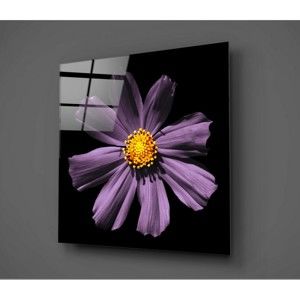 Černo-fialový skleněný obraz Insigne Flowerina, 30 x 30 cm