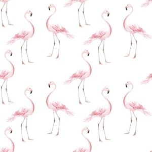 Tapeta na zeď Dekornik Flamingos, 50 x 280 cm