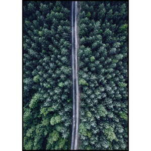 Plakát Imagioo Aerial Forest, 40 x 30 cm