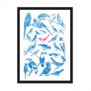 Plakát Ohh Deer Collection Of Birds, 29,7 x 42 cm