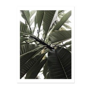 Plakát HF Living Botanic Greenery, 30 x 40 cm
