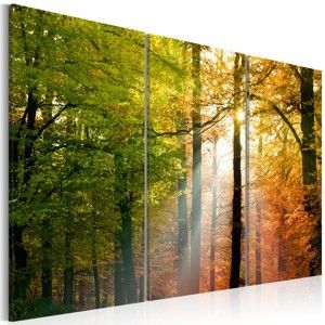 Obraz na plátně Artgeist Autumn Forest, 120 x 80 cm