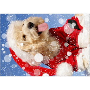 Koberec Vitaus Christmas Period Cute Dog, 50 x 80 cm