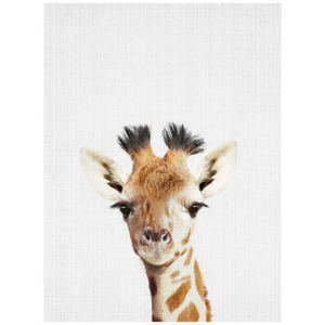 Plakát Blue-Shaker Baby Animals Giraffe, 30 x 40 cm