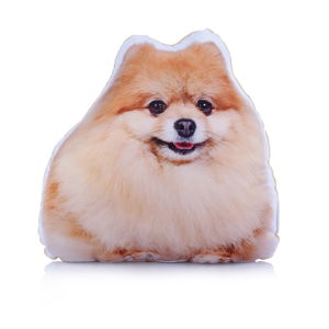 Polštářek s potiskem Německého špice Adorable Cushions Midi Pomeranian