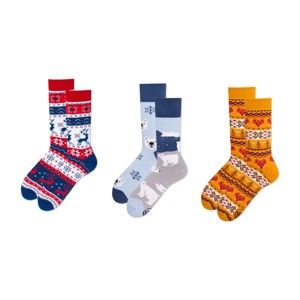 Sada 3 párů ponožek v dárkovém balení Many Mornings Winter Buddies, vel. 39–42