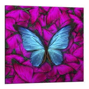 Obraz Styler Glasspik Red Butterfly, 20 x 20 cm