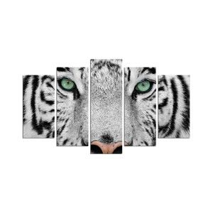 Vícedílný nástěnný obraz Snow Tiger