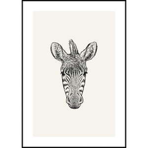 Plakát Imagioo Zebra Ilu, 40 x 30 cm
