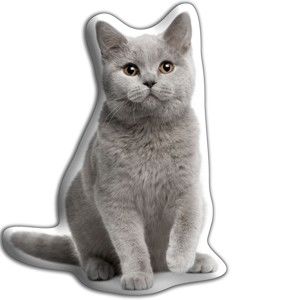 Polštářek s potiskem Britské krátkosrsté kočky Adorable Cushions