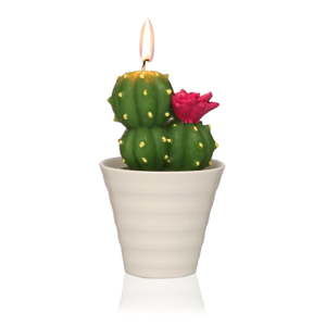 Dekorativní svíčka ve tvaru kaktusu Versa Cactus Fila