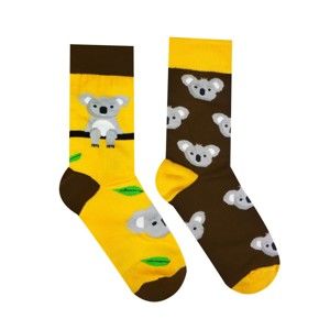 Bavlněné ponožky HestySocks Koala, vel. 35-38