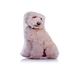 Polštářek s potiskem křížence Labradora a Pudla Adorable Cushions Midi Labradoodle