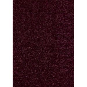Tmavě fialový koberec Hanse Home Nasty, 200 x 200 cm