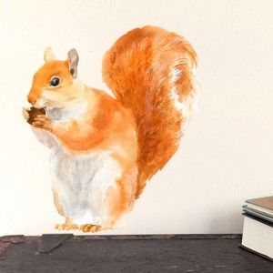 Znovu snímatelná samolepka Red Squirrel Mini, 30x21 cm