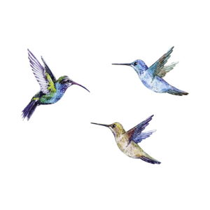 Sada záložek do knížky Thinking gifts Hummingbird