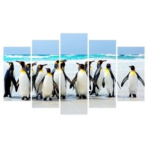 Vícedílný obraz na plátně Animal Penguins