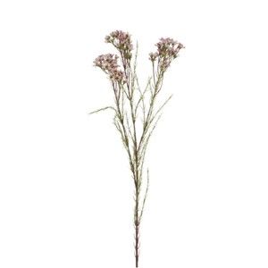 Umělá květina fialové Chamelaucium Ego dekor, výška 80 cm